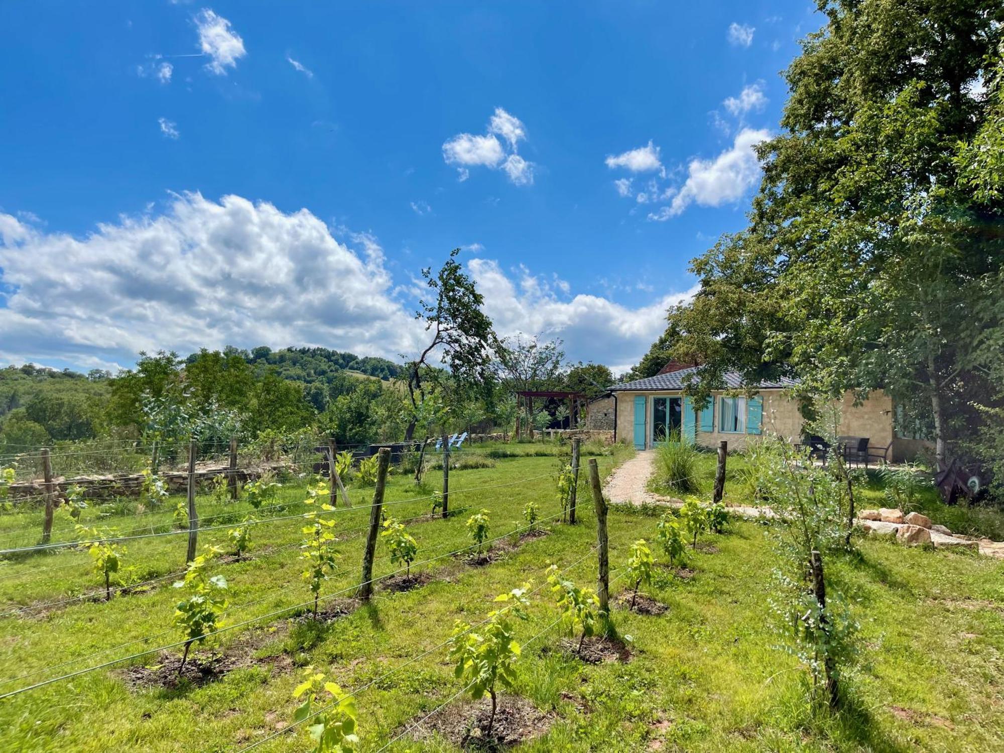 La Belle Petite Ferme Rosiers De Julliac 19350 Villa Le Bos Eksteriør bilde